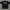 Acme De La Vie Outline Script Logo Print Black Tee photo 2