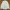 BRULI LUXURY BASIC WHITE LONG SLEEVE SHIRT photo 6
