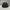 Partimento Baggy jorts black stone chinoo photo 6