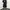 Partimento Baggy jorts black stone chinoo photo 5