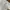 A. BLUE GARMENT NEW YORK WHITE MULTIPOCKET ARMY STYLE M65 OG photo 5