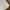 A. BLUE GARMENT NEW YORK WHITE MULTIPOCKET ARMY STYLE M65 OG photo 6