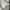 JAPANESE BRAND SELVEDGE UNITED TOKYO BASIC WHITE BUTTON DOWN photo 5