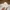 JAPANESE BRAND SELVEDGE UNITED TOKYO BASIC WHITE BUTTON DOWN photo 3