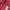 Streetwear Casual T-shirt Pria burgundy photo 4