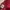 Streetwear Casual T-shirt Pria burgundy photo 3