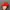 MLB yankess hat cap red photo 2