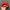 MLB yankess hat cap red photo 3
