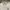 BOY London Vintage Casual Polo shirt Pria gray photo 2