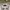 BOY London Vintage Casual Polo shirt Pria gray photo 3