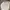BOY London Vintage Casual Polo Shirt Pria Gray