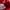 Nike Air Jordan Streetwear Sportswear Sneakers Pria white red photo 6