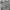 Nike Streetwear Casual Hoody Pria gray photo 4