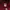 Maroon Russell Athletic hodie  photo 2
