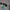 KAMERA DJI ACTION 5 PRO FULL SET (SIAP PAKAI) photo 9