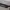 KAMERA DJI ACTION 5 PRO FULL SET (SIAP PAKAI) photo 8