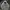 Freaky Massive Streetwear Y2K Hoody Pria Gray
