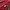 Supreme waistbag red photo 3