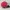 SNAPBACK HAT BADBOY GOODGIRL TEAMLIFE photo 2