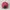 SNAPBACK HAT BADBOY GOODGIRL TEAMLIFE photo 3