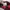 SNAPBACK HAT BADBOY GOODGIRL TEAMLIFE photo 5