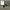 Nike Casual Sneakers Pria gray photo 1