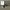 Nike Casual Sneakers Pria Gray