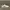 Nike Casual Sneakers Pria white photo 2