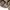Burberry Luxury Casual Kemeja Kids multicolor tan photo 7