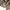 Burberry Luxury Casual Kemeja Kids multicolor tan photo 6