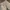 Vintage wrangler canvas carpenter pant photo 2