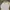 Vintage Casual Polo shirt Pria gray photo 1