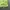 Hollister Neon Green Trim Bow Cami Top (S to L) photo 6