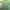 Polizei Pine Green Distressed Tee (L) photo 2