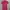 Dress Fuschia