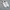 Adidas Superstar White Original Second Size 44/28cm photo 2