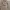 Atasan Rajut Kepang