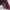 Stradivarius Luxury Casual Wallet Wanita burgundy photo 5