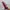 Stradivarius Luxury Casual Wallet Wanita burgundy photo 7