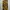 Rotcho BDU Camouflage cargo pant photo 6