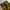 Rotcho BDU Camouflage cargo pant photo 7