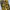 Rotcho BDU Camouflage cargo pant photo 2