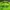 Vintage Biker Windbreaker Pria green photo 3