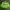 Vintage Biker Windbreaker Pria Green