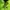 Vintage Biker Windbreaker Pria green photo 8