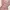 Vintage Pink Floral Babydoll | Not Axes Femme Liz Lisa Rosa 