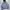 Thisisneverthat T-Logo Hoddie - Grey photo 2