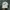 Nike Sportswear Hat Pria white photo 1