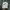 Nike Sportswear Hat Pria White