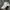 Nike Sportswear Hat Pria White